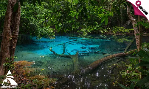 4 Days & 3 Nights Krabi, Thailand Travel Package with Accommodation, Meals, & Island Tour!
